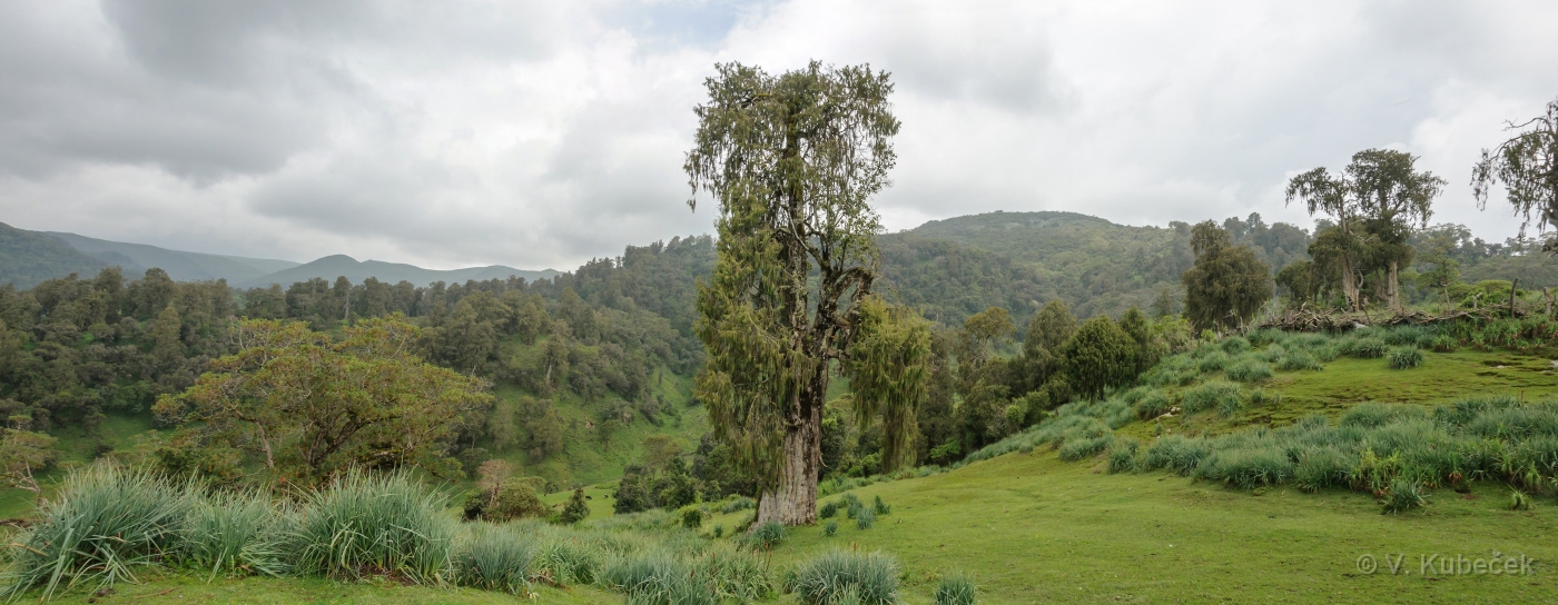 [Group 35]-DSC 7413 DSC 7414-2 images